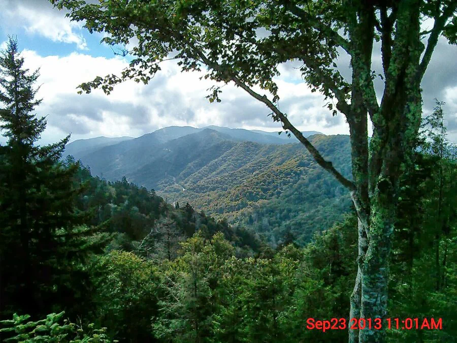 Mountain ridges framed by trees beneath a cloudy sky.