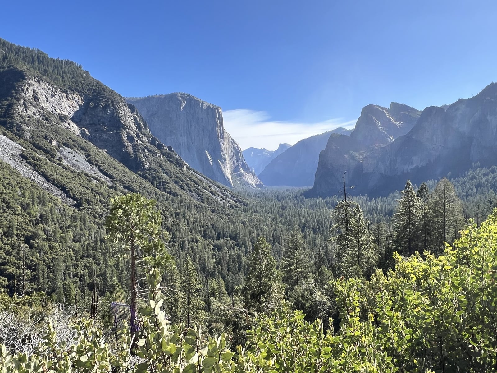 Tunnel View.