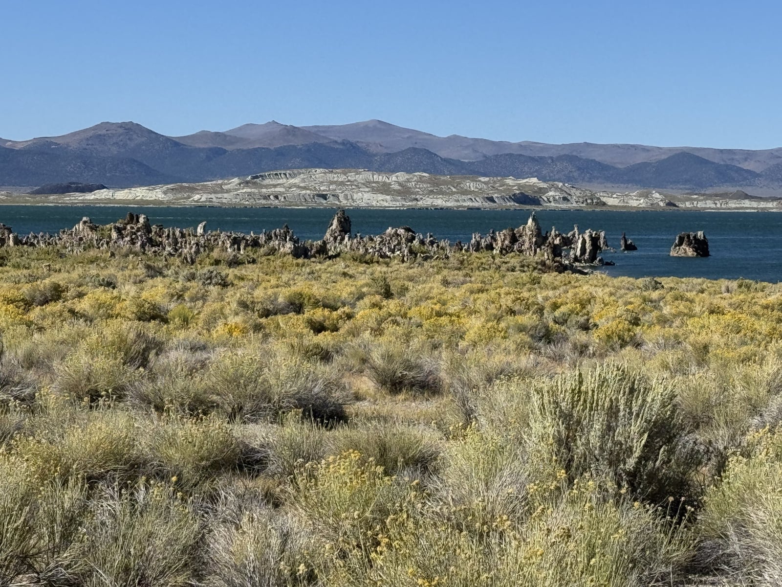 Mono Lake tufa.